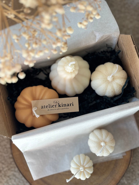 Coffret TRIO de citrouilles